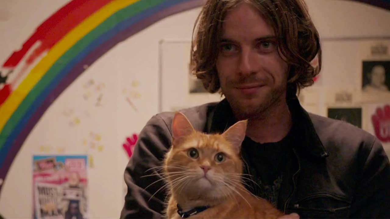 یک گربه خیابانی به اسم باب در آغوش جیمز در فیلم A Street Cat Named Bob، محصول سال ۲۰۱۶ میلادی