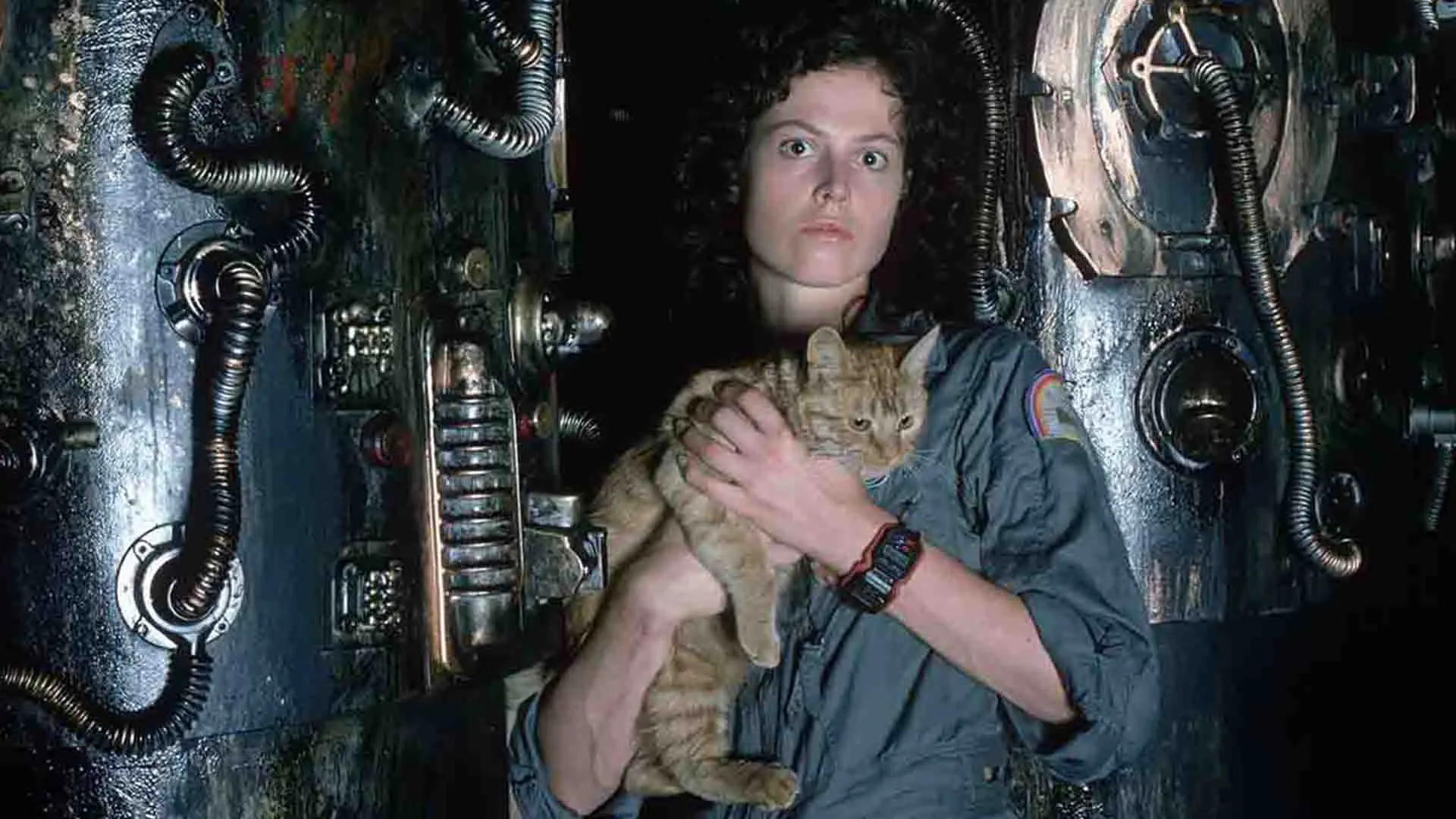 سیگورنی ویور به همراه یک گربه در سفینه فضایی در فیلم Alien