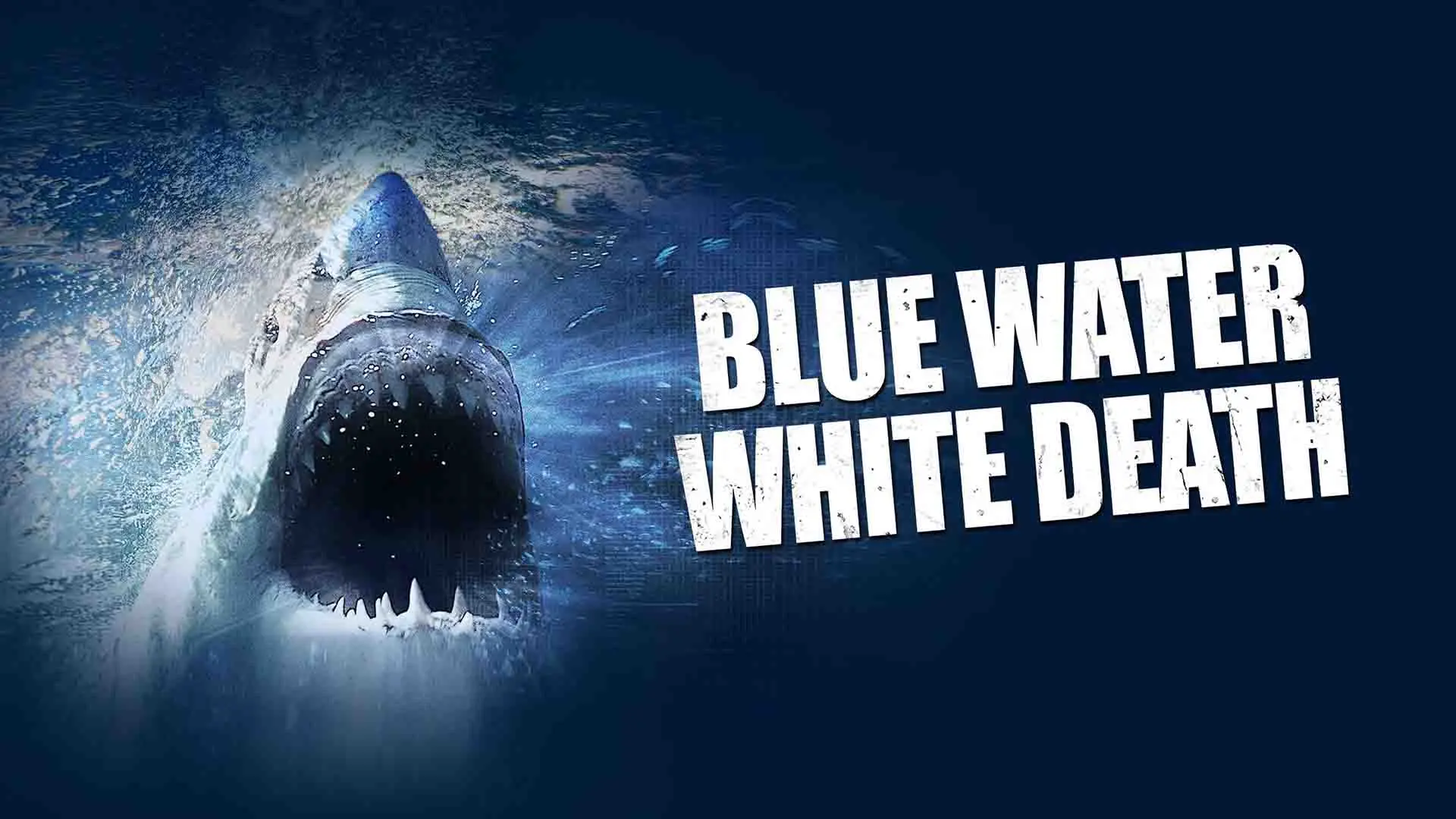 کوسه سفید بزرگ در حال غرش کردن در پوستر فیلم Blue Water